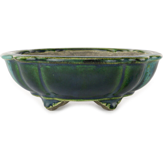 Lotusgroene bonsaipot van Terahata Satomi Mazan - 202 x 173 x 60 mm