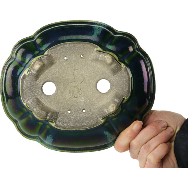 Maceta para bonsái verde loto de Terahata Satomi Mazan - 202 x 173 x 60 mm