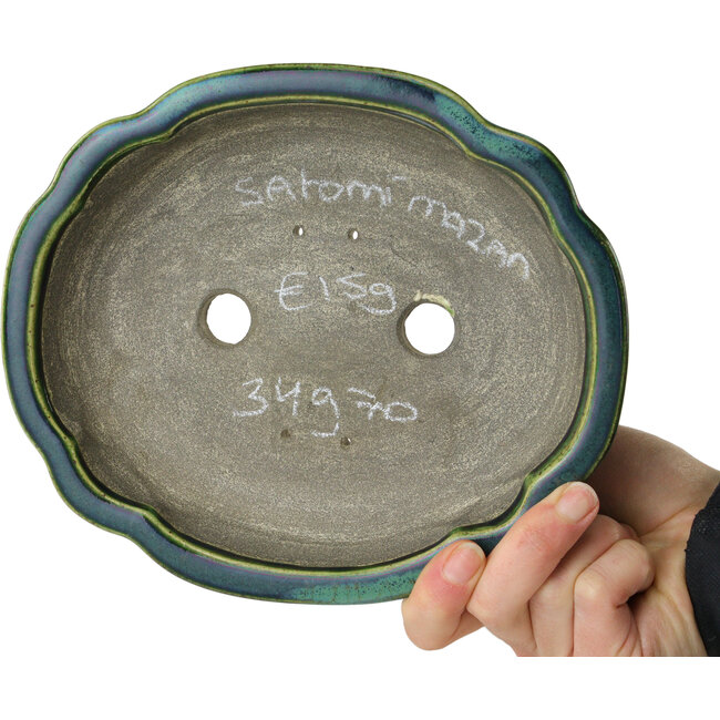 Maceta para bonsái verde loto de Terahata Satomi Mazan - 202 x 173 x 60 mm