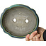 Maceta para bonsái verde loto de Terahata Satomi Mazan - 202 x 173 x 60 mm