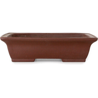  Shibakatsu (Katsuichi Shibata) Pot à bonsaï rectangulaire non émaillé de 190 mm par Shibakatsu, Tokoname, Japon