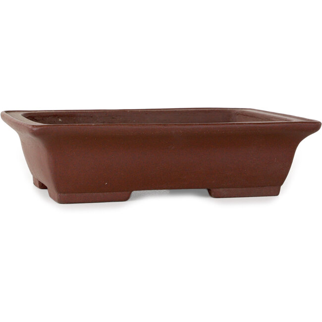 Vaso bonsai rettangolare non smaltato di Shibakatsu - 190 x 145 x 52 mm