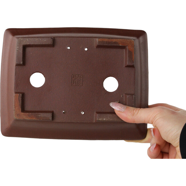 Maceta rectangular sin esmaltar para bonsái de Shibakatsu - 190 x 145 x 52 mm