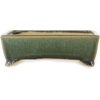  Shibakatsu (Katsuichi Shibata) Pot à bonsaï rectangulaire vert foncé de 158 mm par Shibakatsu, Tokoname, Japon