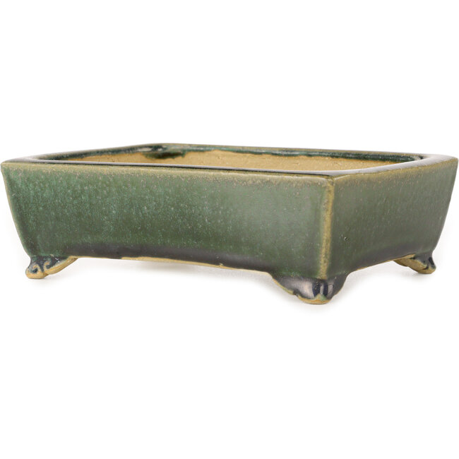 Maceta rectangular verde oscuro para bonsái de Shibakatsu - 158 x 116 x 49 mm