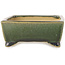 Pot à bonsaï rectangulaire vert foncé de Shibakatsu - 158 x 116 x 49 mm