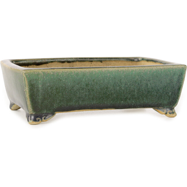 Pot à bonsaï rectangulaire vert foncé de Shibakatsu - 158 x 116 x 49 mm