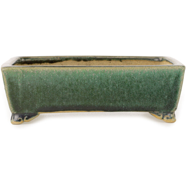 Maceta rectangular verde oscuro para bonsái de Shibakatsu - 158 x 116 x 49 mm