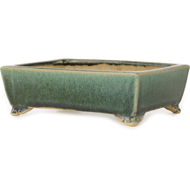Rectangular dark green bonsai pot by Shibakatsu - 158 x 116 x 49 mm