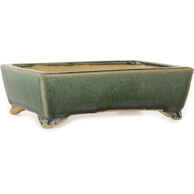 Vaso bonsai rettangolare verde scuro di Shibakatsu - 158 x 116 x 49 mm