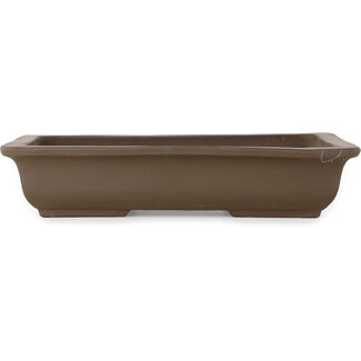  Yamaaki Vaso bonsai rettangolare non smaltato da 347 mm di Yamaaki Toshio (terza generazione), Tokoname, Giappone