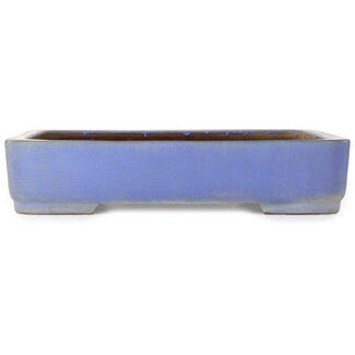  Kakuzan 500 mm rectangular blue bonsai pot by Kakuzan, Tokoname, Japan