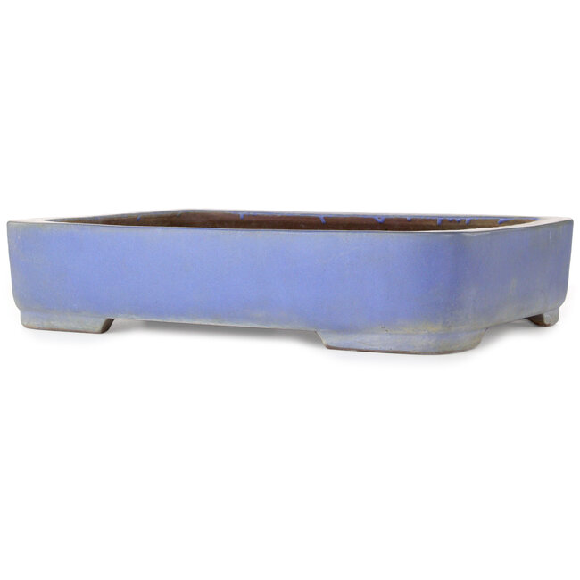 Rechteckiger blauer Bonsai-Topf von Kakuzan – 500 x 362 x 103 mm