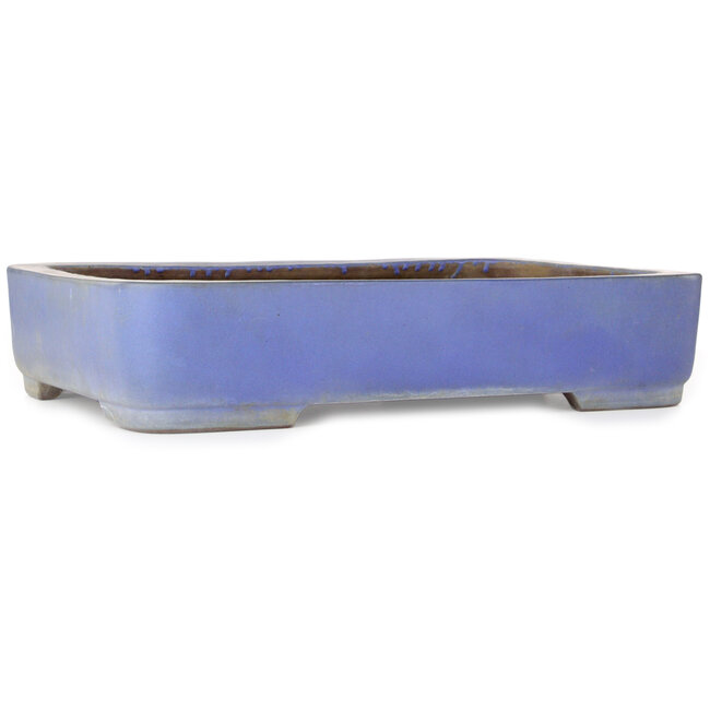 Rectangular blue bonsai pot by Kakuzan - 500 x 362 x 103 mm