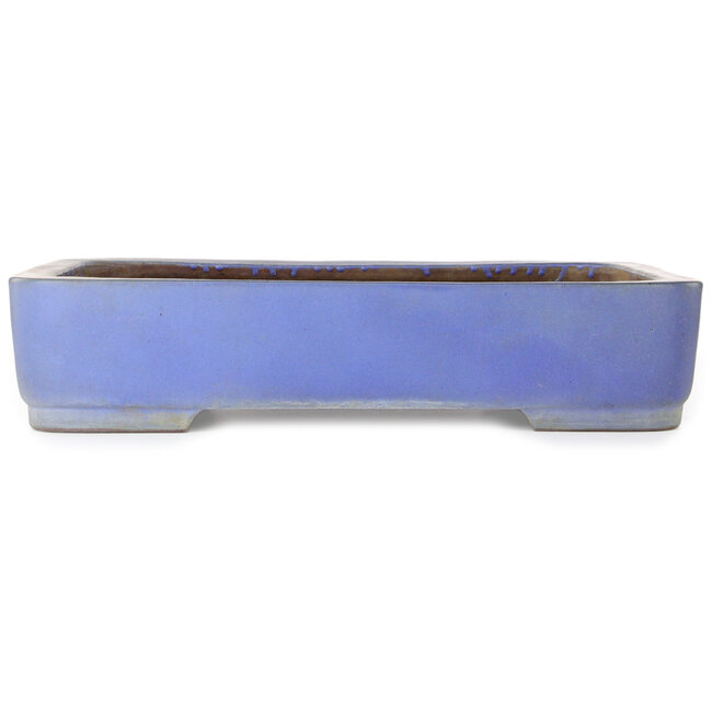 Rechthoekige blauwe bonsaipot van Kakuzan - 500 x 362 x 103 mm