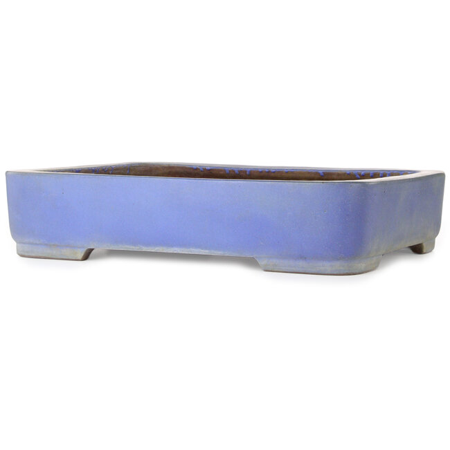 Rechthoekige blauwe bonsaipot van Kakuzan - 500 x 362 x 103 mm