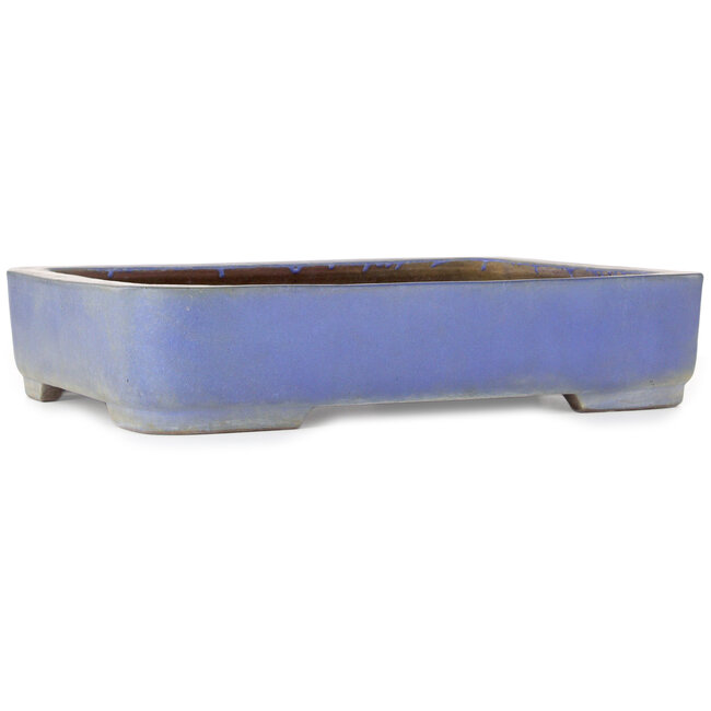 Rectangular blue bonsai pot by Kakuzan - 500 x 362 x 103 mm