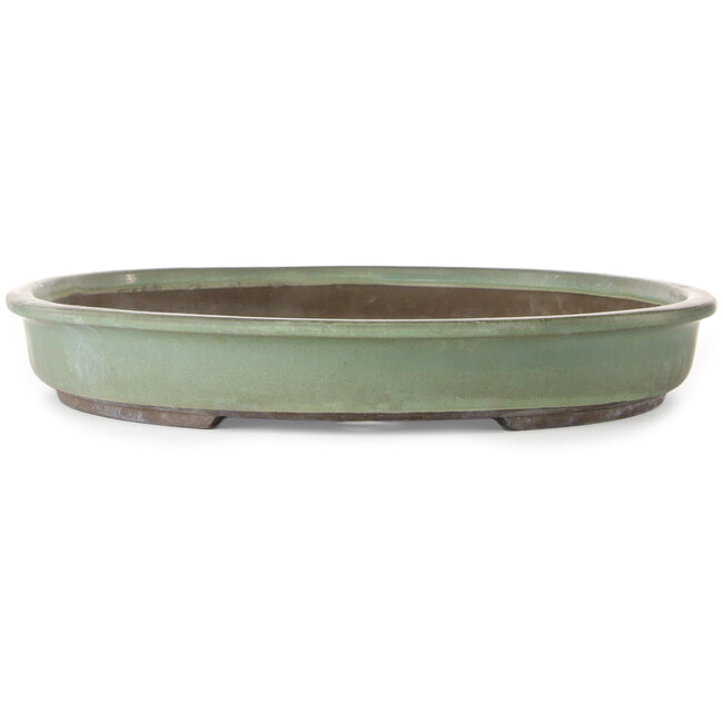 Oval green bonsai pot by Haru Matsu - 623 x 440 x 62 mm