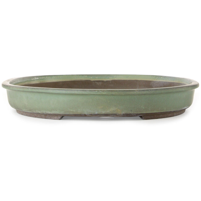 Pot ovale vert pour bonsaï par Haru Matsu - 623 x 440 x 62 mm
