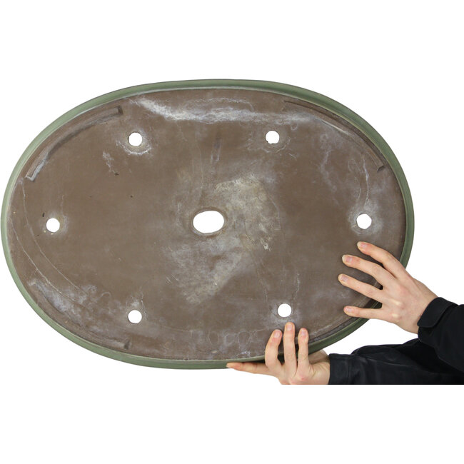 Maceta ovalada verde para bonsái de Haru Matsu - 623 x 440 x 62 mm