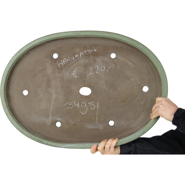 Oval green bonsai pot by Haru Matsu - 623 x 440 x 62 mm
