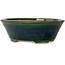 Maceta ovalada para bonsái verde de Terahata Satomi Mazan - 230 x 197 x 75 mm