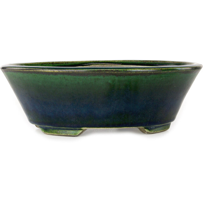Maceta ovalada para bonsái verde de Terahata Satomi Mazan - 230 x 197 x 75 mm