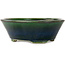 Ovale groene bonsaipot van Terahata Satomi Mazan - 230 x 197 x 75 mm