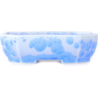  Heian Senzan Vaso bonsai ovale da 161 mm, smaltato in cristallo azzurro, di Heian Senzan, Tokoname, Giappone