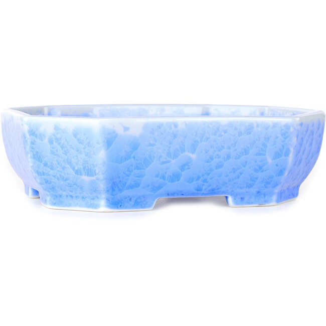 Pot à bonsaï ovale bleu clair à glaçure cristalline par Heian Senzan - 161 x 132 x 50 mm