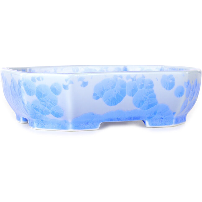 Pot à bonsaï ovale bleu clair à glaçure cristalline par Heian Senzan - 161 x 132 x 50 mm