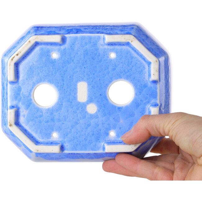 Maceta ovalada para bonsái con esmaltado de cristal azul claro de Heian Senzan - 161 x 132 x 50 mm