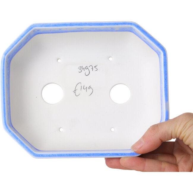 Vaso bonsai ovale in smalto cristallino azzurro chiaro di Heian Senzan - 161 x 132 x 50 mm