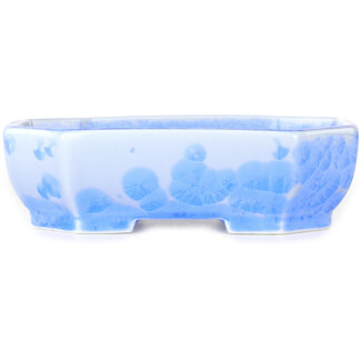  Heian Senzan Pot à bonsaï ovale de 161 mm, bleu clair, à glaçure cristalline, par Heian Senzan, Tokoname, Japon