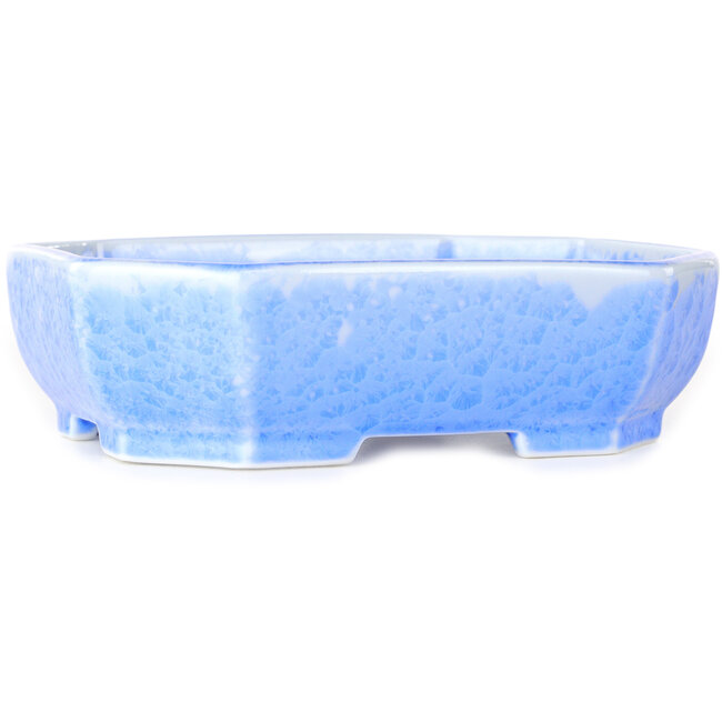 Pot à bonsaï ovale bleu clair à glaçure cristalline par Heian Senzan - 161 x 132 x 50 mm