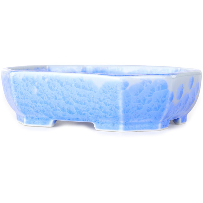 Maceta ovalada para bonsái con esmaltado de cristal azul claro de Heian Senzan - 161 x 132 x 50 mm