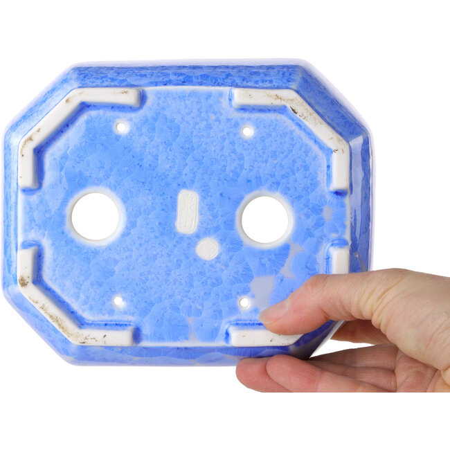 Maceta ovalada para bonsái con esmaltado de cristal azul claro de Heian Senzan - 161 x 132 x 50 mm