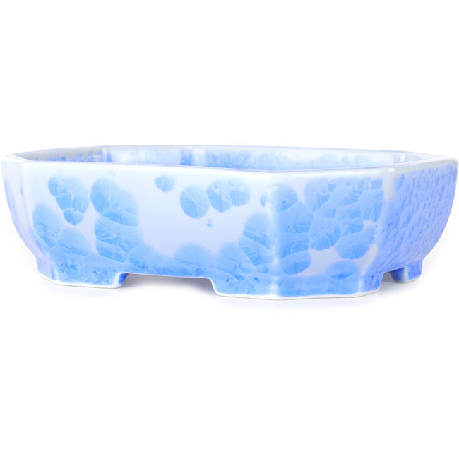 Maceta ovalada para bonsái con esmaltado de cristal azul claro de Heian Senzan - 161 x 132 x 50 mm