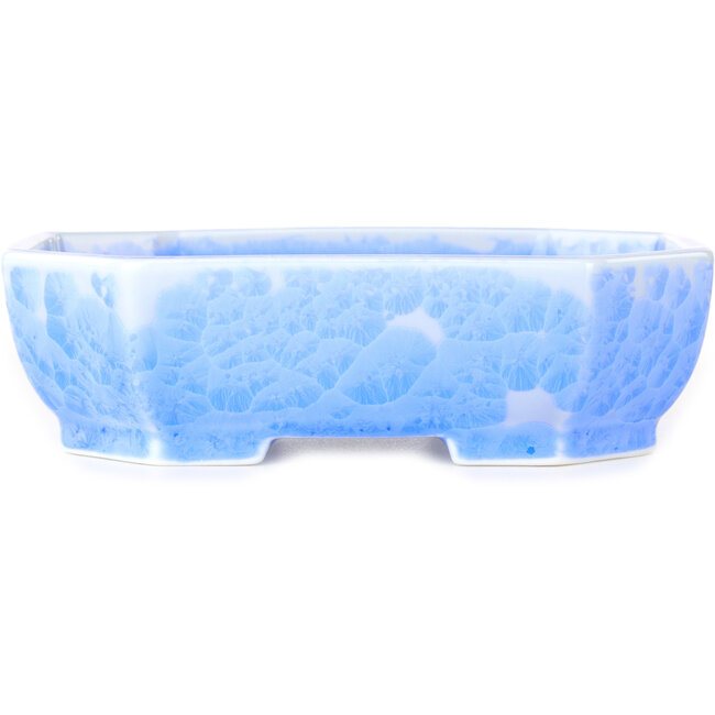 Pot à bonsaï ovale bleu clair à glaçure cristalline par Heian Senzan - 161 x 132 x 50 mm