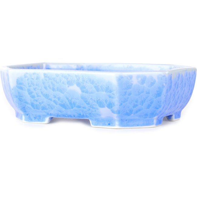 Pot à bonsaï ovale bleu clair à glaçure cristalline par Heian Senzan - 161 x 132 x 50 mm