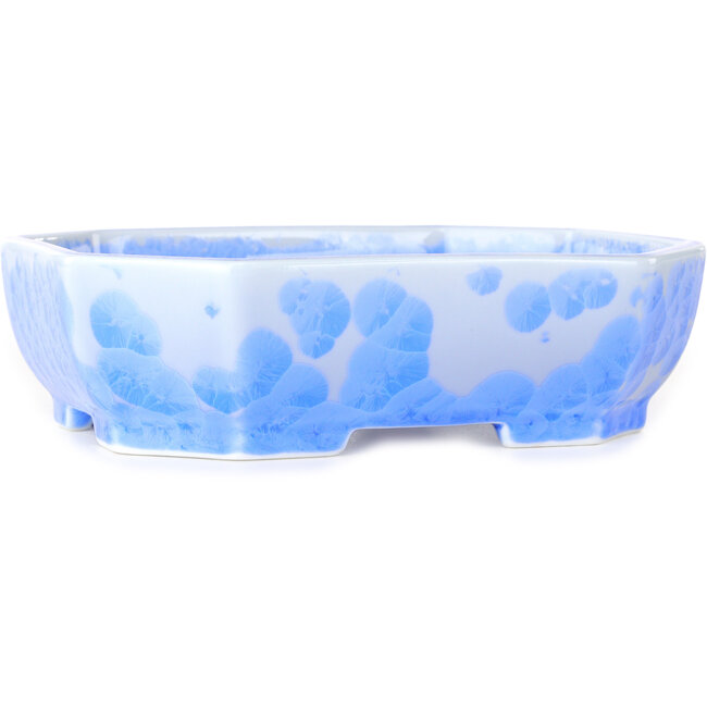 Pot à bonsaï ovale bleu clair à glaçure cristalline par Heian Senzan - 161 x 132 x 50 mm