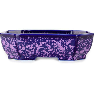  Heian Senzan Pot à bonsaï ovale de 161 mm, à glaçure cristal violette, par Heian Senzan, Tokoname, Japon