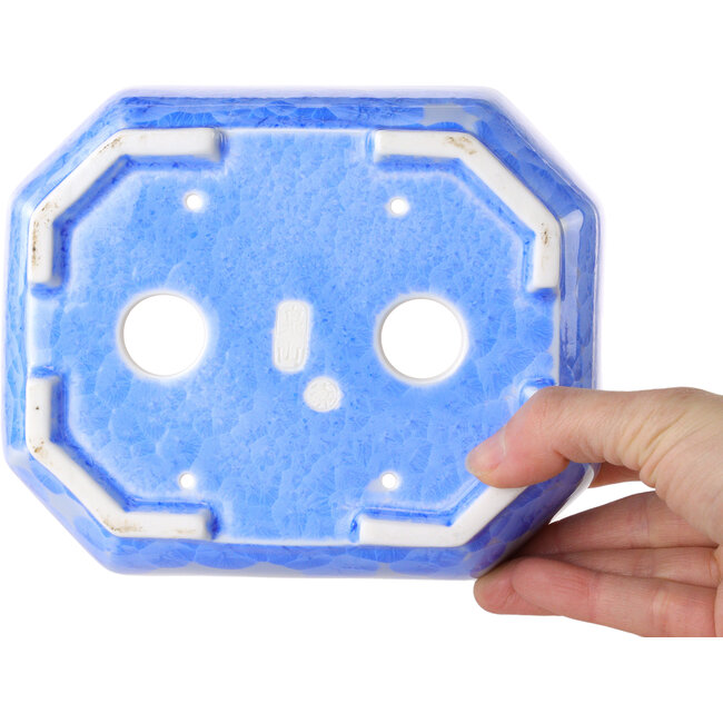 Pot à bonsaï ovale bleu clair à glaçure cristalline par Heian Senzan - 161 x 132 x 50 mm