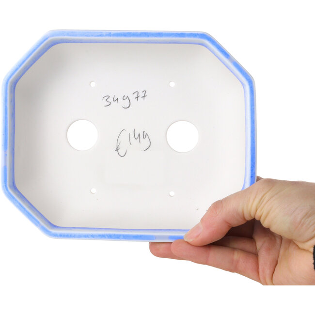 Vaso bonsai ovale in smalto cristallino azzurro chiaro di Heian Senzan - 161 x 132 x 50 mm