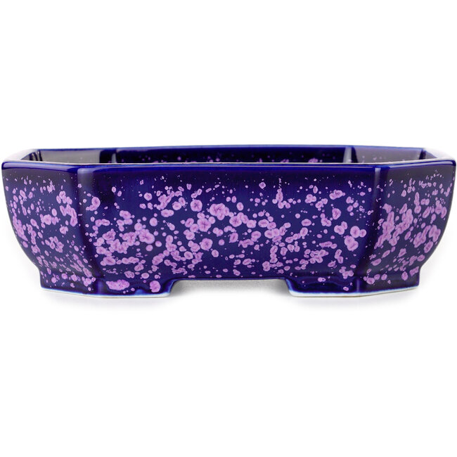 Maceta ovalada para bonsái con esmalte de cristal morado de Heian Senzan - 161 x 132 x 50 mm