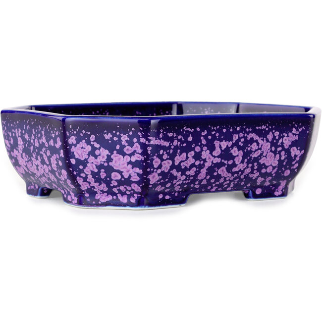 Pot à bonsaï ovale violet à glaçure cristalline par Heian Senzan - 161 x 132 x 50 mm
