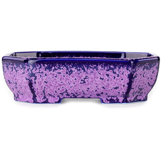  Heian Senzan Vaso bonsai ovale da 161 mm, smaltato in cristallo viola, di Heian Senzan, Tokoname, Giappone