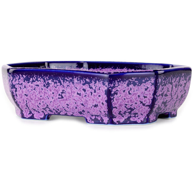 Maceta ovalada para bonsái con esmalte de cristal morado de Heian Senzan - 161 x 132 x 50 mm