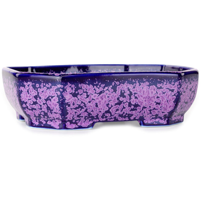 Pot à bonsaï ovale violet à glaçure cristalline par Heian Senzan - 161 x 132 x 50 mm