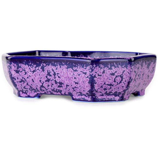 Maceta ovalada para bonsái con esmalte de cristal morado de Heian Senzan - 161 x 132 x 50 mm